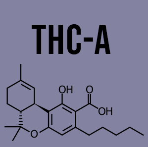 THCA Products